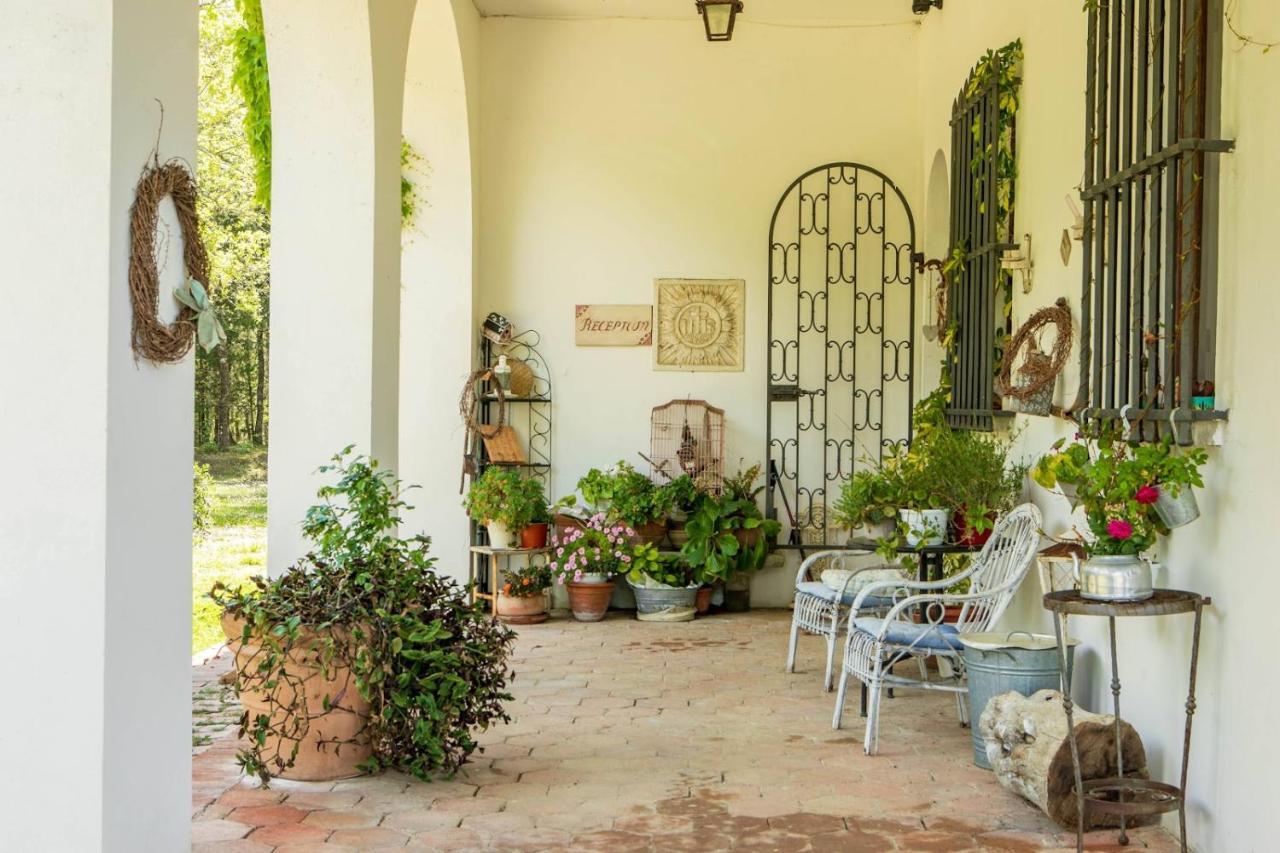 Villa Albertina มอนเตสแปร์โตลิ ภายนอก รูปภาพ
