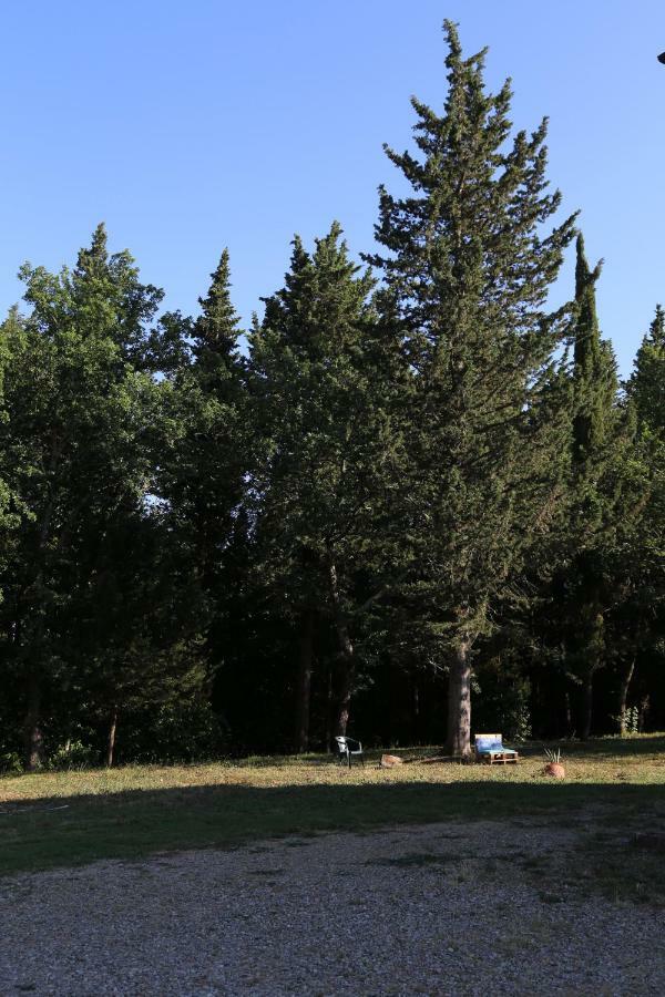 Villa Albertina มอนเตสแปร์โตลิ ภายนอก รูปภาพ